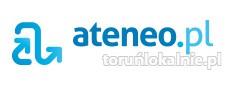 Ateneo.pl dostarczamy precyzyjnego ruchu na strony internetowe