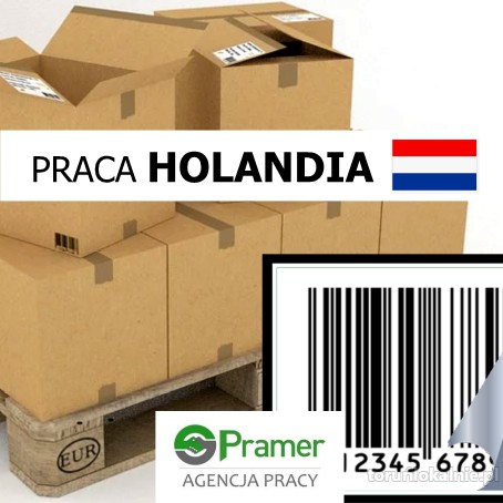 Praca w Holandii - pakowanie i etykietowanie (Boxtel)