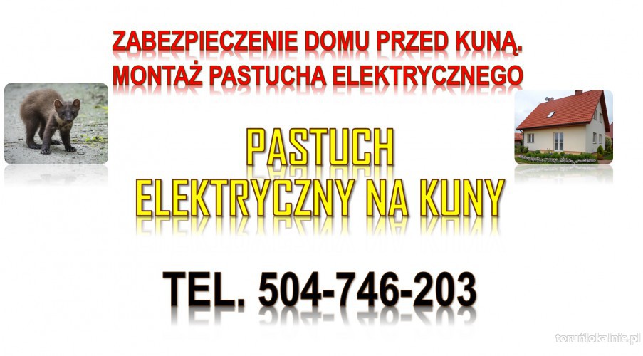 Elektryczny pastuch na kuny tel. 504-746-203,Zabezpieczenie domu