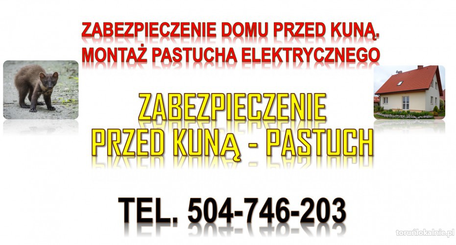 2_jaka_cena_za_pastuch_elektryczny_na_kuny1.jpg