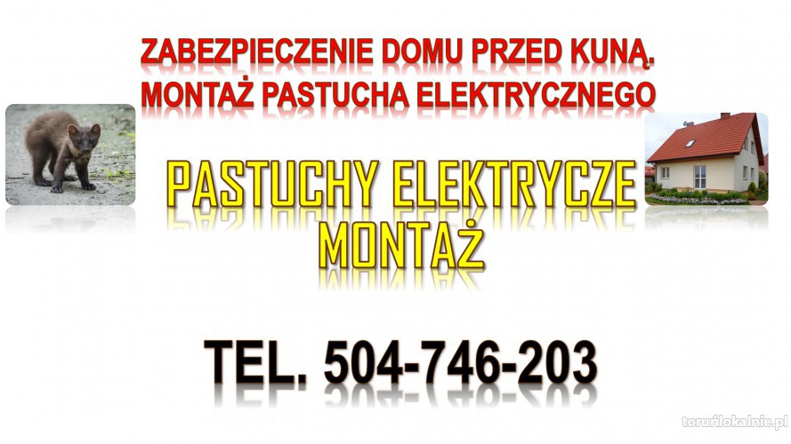 4_ochrona_przed_kuna_pastuch_elektryczny1.jpg