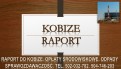 Cena za raport Kobize, tel. 502-032-782. obsługa firmy, pomoc
