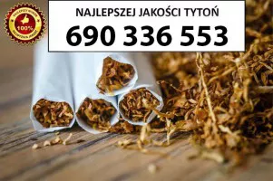 Super Jakości TYTOŃ 80 PLN/1KG