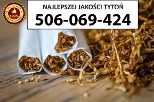 Znakomitej jakości TYTOŃ 80 PLN / 1KG