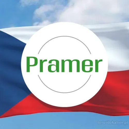 Pramer_kwadrat_8_czechy.webp