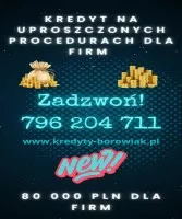 KREDYT DLA FIRM DO 80 000 PLN  NAWET PRZY STRACIE!
