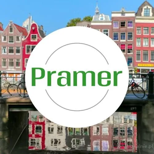 Pracownik zbierania zamówień - praca w Holandii