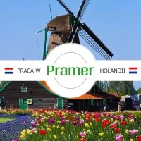 Pracownik produkcji pieczarek - praca w Holandii