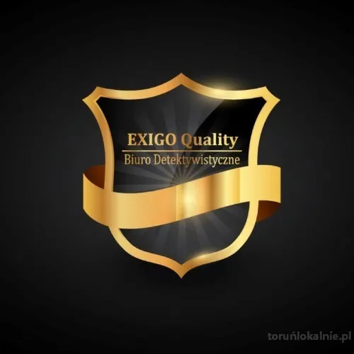 detektyw-torun-71633.webp