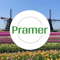 Produkcja wyrobów jajecznych - wysoka stawka  - praca w Holandii