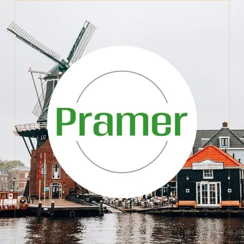 Produkcja kurczaków - bez języka, wysoka stawka  - praca w Holandii