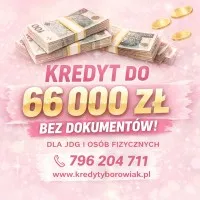 KREDYT DLA JDG I OSÓB FIZYCZNYCH BEZ DOKUMENTOWANIA DOCHODU!