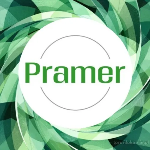 Monter wind Otis - praca w Holandii