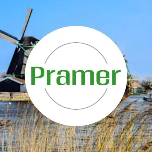 Pracownik pakowania dywanów - stabilna praca - praca w Holandii