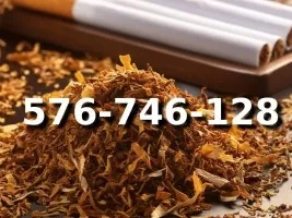 Extra PREMIUM Jakości tani TYTOŃ na wagę 120 PLN/1KG