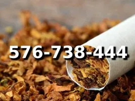 Extra PREMIUM Jakości tani TYTOŃ na wagę 120 PLN/1KG