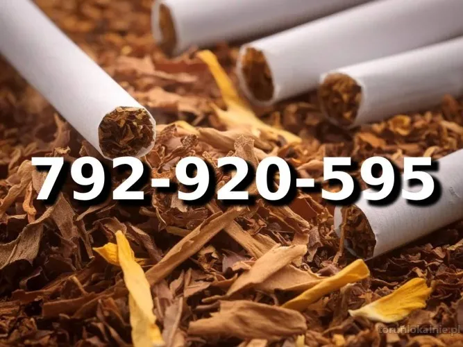 Extra PREMIUM Jakości tani TYTOŃ na wagę 120 PLN/1KG