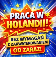 PRACA W NL - SZYBKI WYJAZD